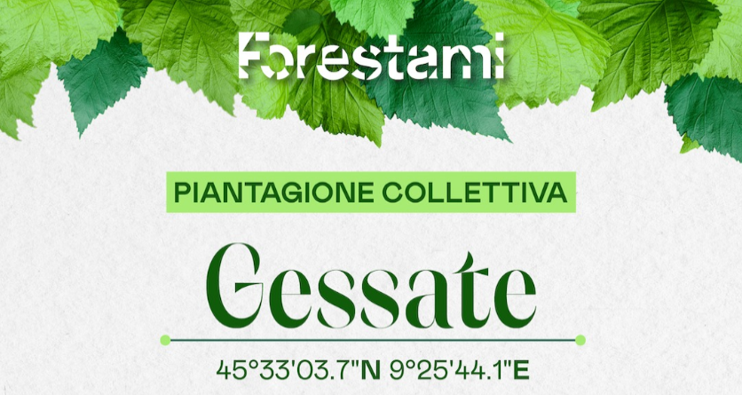 Forestami - Comune di Gessate 