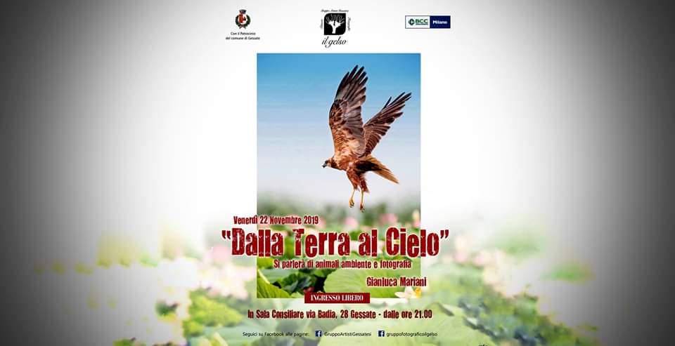 Dalla terra al cielo 