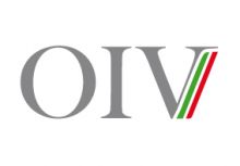 Procedura selettiva per la nomina dell'Organismo Indipendente di Valutazione