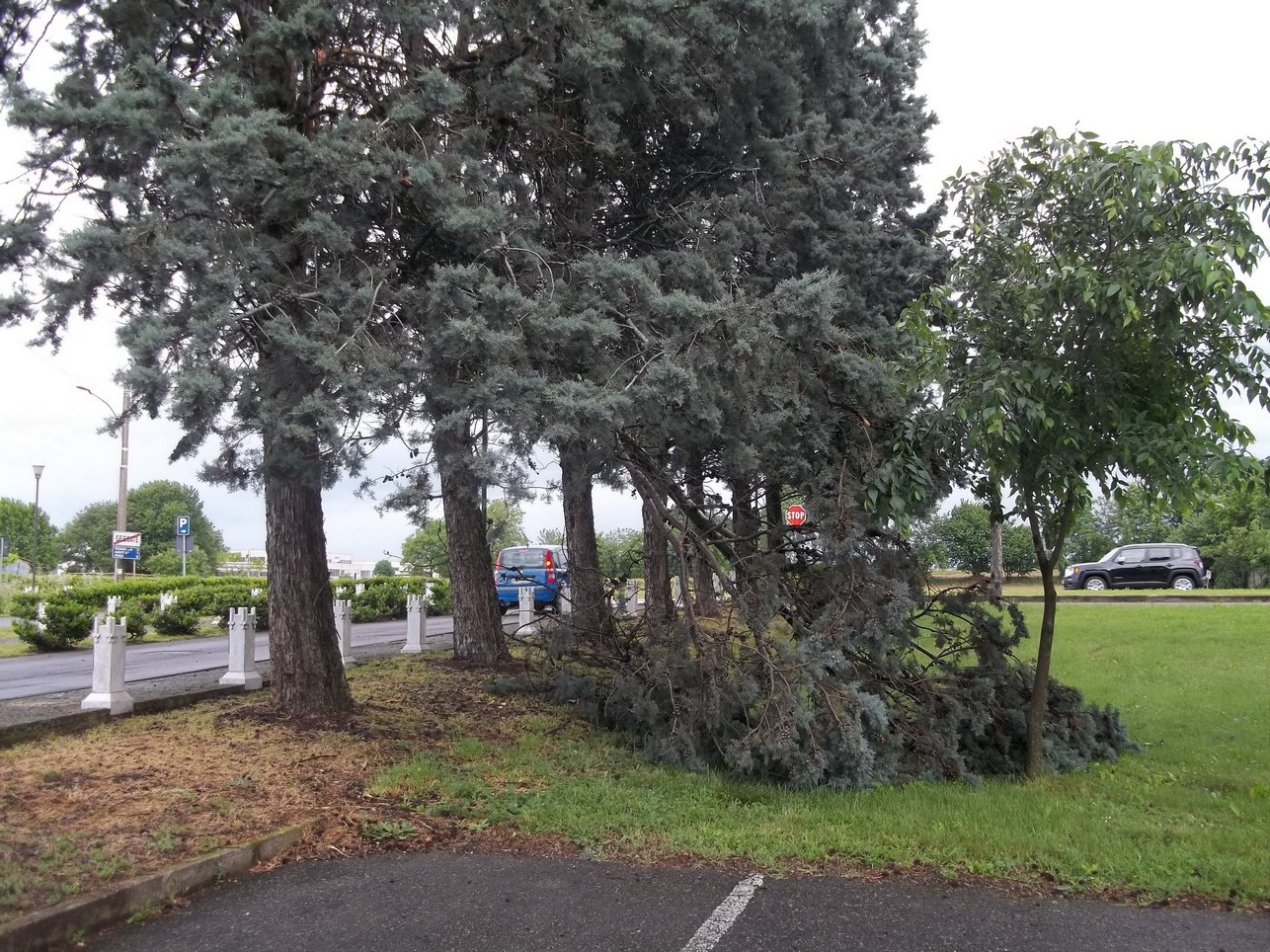 Riqualificazione cimitero