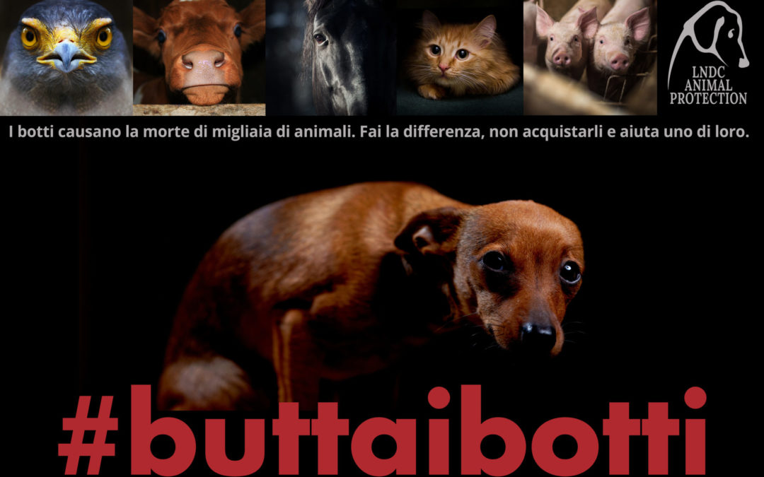 AVVISO - Capodanno 2018, Anche Gessate invita a dire No ai botti.