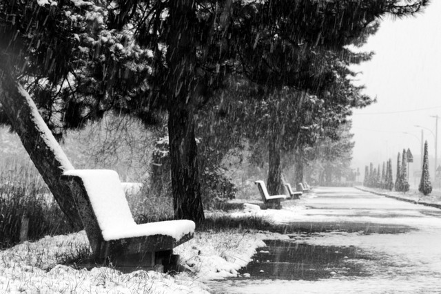 Allerta codice Giallo per rischio NEVE “NV‐11 (MB, MI) Area milanese” da 30/01/2019 ore 00:00 a 30/01/2019 ore 16:00