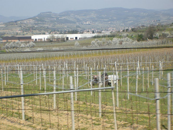 Graduatorie di assegnazione degli Orti Comunali