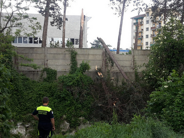 Allerta - codice GIALLO per rischio Vento Forte Da 28/04/2019 h. 00:00 a 29/04/2019 h. 00:00